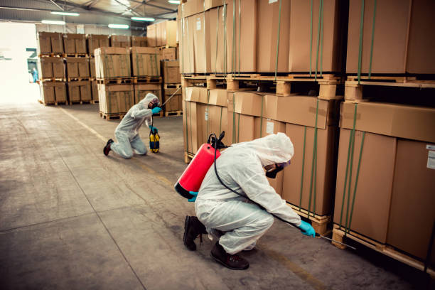 Best Flea Control Services  in Muskogee, OK