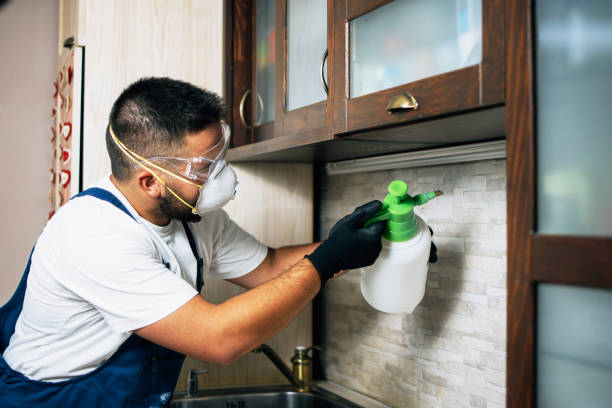 Best Exterminator Services  in Muskogee, OK