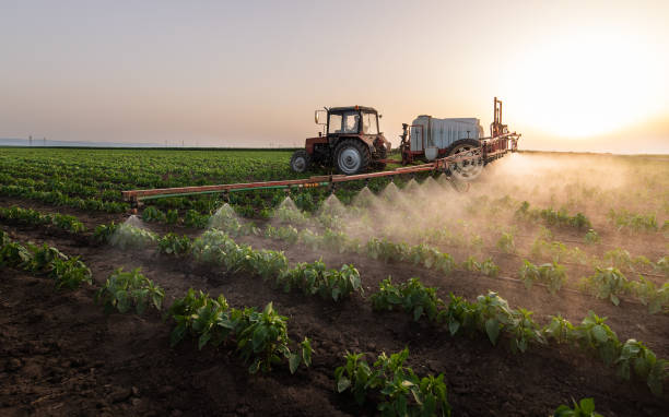 Best Mosquito Control Services  in Muskogee, OK