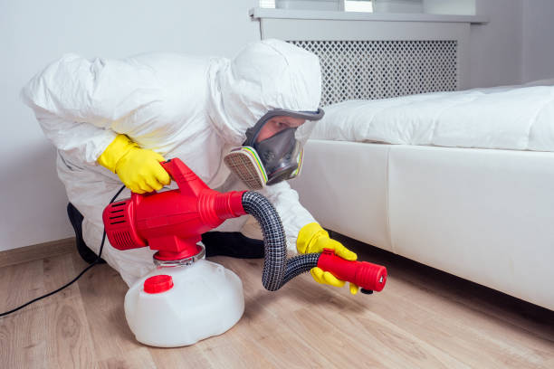 Best Wasp Removal Services  in Muskogee, OK