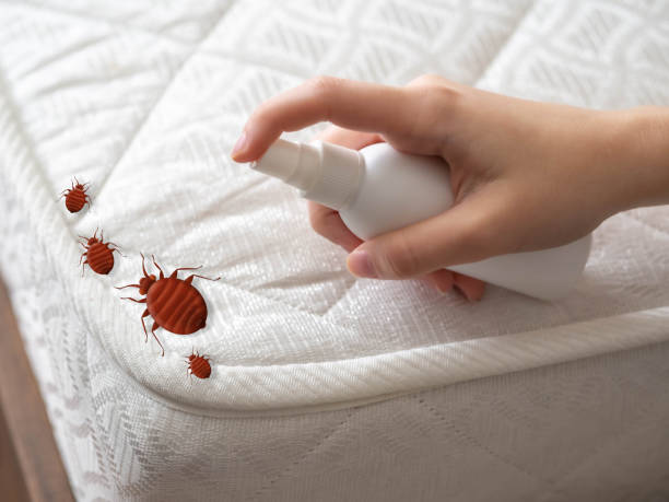 Best Pest Removal Services  in Muskogee, OK
