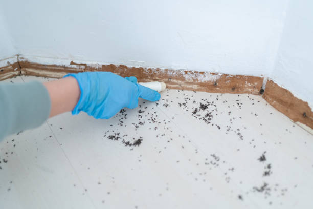 Best Mosquito Control Services  in Muskogee, OK