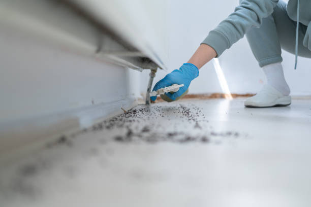 Best Wildlife Control Services  in Muskogee, OK